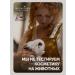 BOTAVIKOS Set of shampoo and balsam healthy lifestyle - Buy Online on GoSupps.com