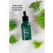 VILAVI Tayga8 T8 Feel chlorophyll concentrate liquid from needles