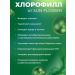 Sun Flower Chlorophyll liquid for weight loss and detox - Buy Online on GoSupps.com
