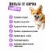 ZooRing Dry food for dogs Mini Dog Lamb & Rice 10 kg - Buy Online on GoSupps.com