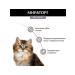 Miratorg Spider for kittens from 1 to 12 months with veal 80 grams - Buy Online on GoSupps.com