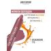BELOR DESIGN Lipstick Satin Colors lipstone tone 15 - Buy Online on GoSupps.com