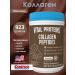 Vital Proteins Collagen Chocolate 923