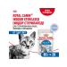 ROYAL CANIN Wet food for sterilized cats in jelly - 85 g x 28 pcs - Buy Online on GoSupps.com