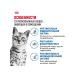 ROYAL CANIN Wet food for sterilized cats in jelly - 85 g x 28 pcs - Buy Online on GoSupps.com