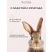 BIOTIME Face mask moisturizing night from wrinkles with retinol - Buy Online on GoSupps.com