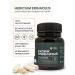 Living Planet Ezhovik Channel Mycelium 60 Capsules - Buy Online on GoSupps.com