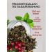 Herbal green tea for weight loss - Buy Online on GoSupps.com
