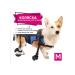 MPSALER Disabled stroller for dogs. For front paws. M