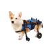 MPSALER Disabled stroller for dogs. For front paws. M - Buy Online on GoSupps.com