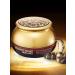 Bergamo Facial Cream Intensive Snake Syn-Away Wrinkle Care Cream - Buy Online on GoSupps.com
