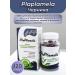SasheraMed Plaplamela blueberries vitamin-mineral complex