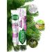 Forest balsam Toothpaste Ket 3x75 ml - Buy Online on GoSupps.com