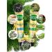 Forest balsam Toothpaste organic oils 2x75 ml - Buy Online on GoSupps.com