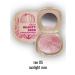 BIELITA Face blush shining Beauty Skin Tone 05 Sunlight Rose - Buy Online on GoSupps.com