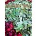 treelove Lingonberry leaf - Buy Online on GoSupps.com
