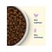 Advance Holistic Dry food for cats lambs turkey brown rice 0.4 kg - Buy Online on GoSupps.com