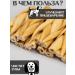 FOR RODENT DOG Dog delicities horse leather (pigtail) 10 cm 1000 g - Buy Online on GoSupps.com