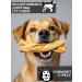 FOR RODENT DOG Dog delicities horse leather (pigtail) 10 cm 50 g - Buy Online on GoSupps.com