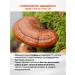 Hedgehog Reishi mushroom micelies 120 capsules of 500 mg - Buy Online on GoSupps.com