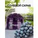 Kapous Salt scrubcore and grapes 200 ml