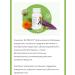 NUTRILITE Daily Amway - the best multivitamins for immunity - Buy Online on GoSupps.com