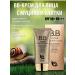 Beauty BB Facial Cream BB Cream Korean with SPF