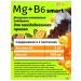 Smart Fruits Smart Fruts with magnesium and B6 30 chewing vitamin - Buy Online on GoSupps.com