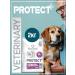 Flatazor New veterinary food for dogs Protect Senior+ 2kg