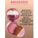 Bourjois Baked blush for the face of Blusher tone 17 satin - Buy Online on GoSupps.com