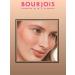 Bourjois Baked blush for the face of Blusher tone 17 satin - Buy Online on GoSupps.com