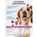 Best Pets Vitamins for dogs Multicompplex - Buy Online on GoSupps.com