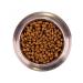 MONGE Mini Adult food for dogs of small breeds with chicken 7.5 kg - Buy Online on GoSupps.com