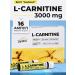 l carnitine energy sportpit