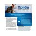 MONGE Dry food for adult cats with chicken 10 kg - Buy Online on GoSupps.com
