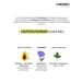 Cartridge Kushon for Korea 16n Faces - Buy Online on GoSupps.com