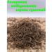 Valerian root dried 50g sedative collection - Buy Online on GoSupps.com