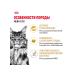 ROYAL CANIN Dry food for cats 4 kg + 4 kg - Buy Online on GoSupps.com
