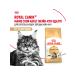 ROYAL CANIN Dry food for cats 4 kg + 4 kg - Buy Online on GoSupps.com
