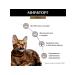 Miratorg Dry food with lamb for cats 1.5kg - Buy Online on GoSupps.com