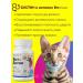 Vit-Active Vitamins for cats biotin for omega 3 from molting - Buy Online on GoSupps.com