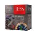 TESS Caramel Charm Blueberry Tart Berry Bar tea set - Buy Online on GoSupps.com