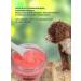 iv san bernard Yves Saint Bernard Shampoo and a mask for dogs and cats grapefruit - Buy Online on GoSupps.com