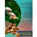 TETRA Tablets Tabimin 120 tab. Aquarium fish food - Buy Online on GoSupps.com