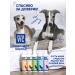 Doctor VIC Dog shampoo all breeds with panthenol hypoallergenic - Buy Online on GoSupps.com