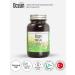 ORZAX Ocean Green tea extract for youth and beauty 60 capsules - Buy Online on GoSupps.com