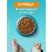 PURINA ONE Cat for cats dry 0.75 kg for sterilized with chicken - Buy Online on GoSupps.com