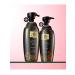 Daeng Gi Meo Ri Shampoo against hair loss with camellia oil 400 ml - Buy Online on GoSupps.com
