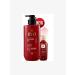 RYO Set of shampoos for damaged hair - Buy Online on GoSupps.com