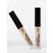 TF Cosmetics Liquid face concealer light Lasting Perfection CTC12-02 - Buy Online on GoSupps.com